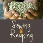 Sowing and Reaping